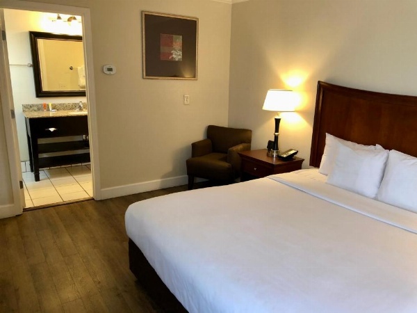 Blu Pacific Hotel image 10