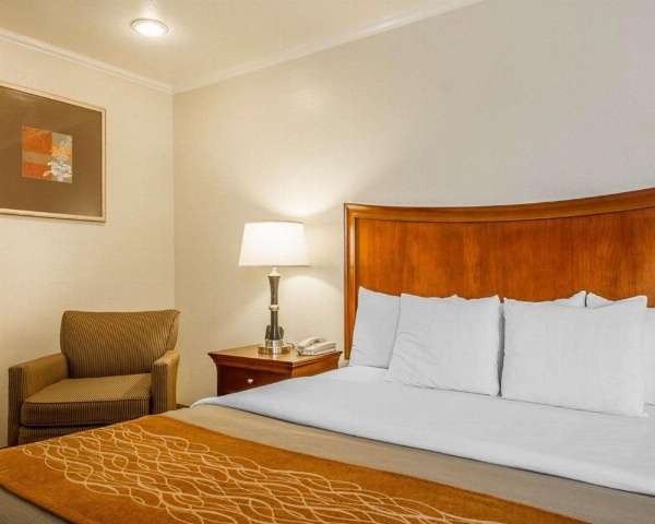 Blu Pacific Hotel image 18