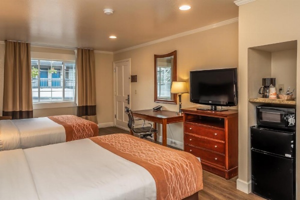 Blu Pacific Hotel image 21