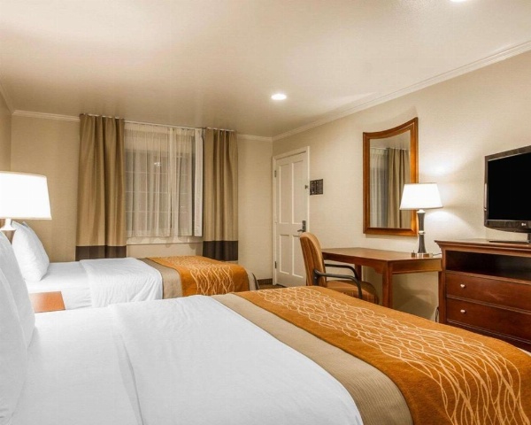 Blu Pacific Hotel image 29