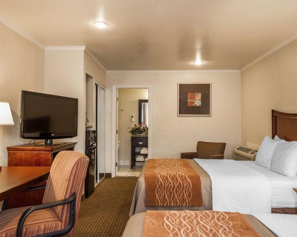 Blu Pacific Hotel image 31