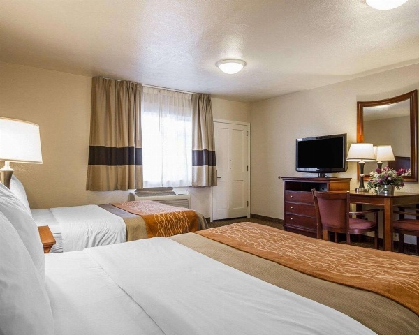 Blu Pacific Hotel image 4