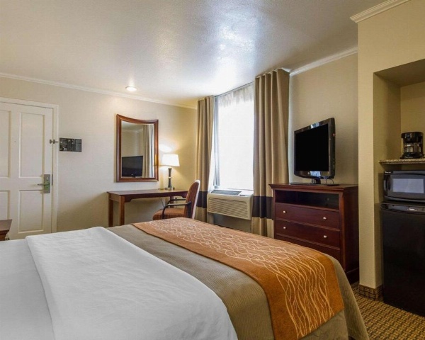 Blu Pacific Hotel image 33