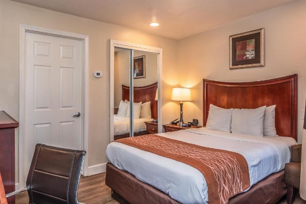 Blu Pacific Hotel image 6