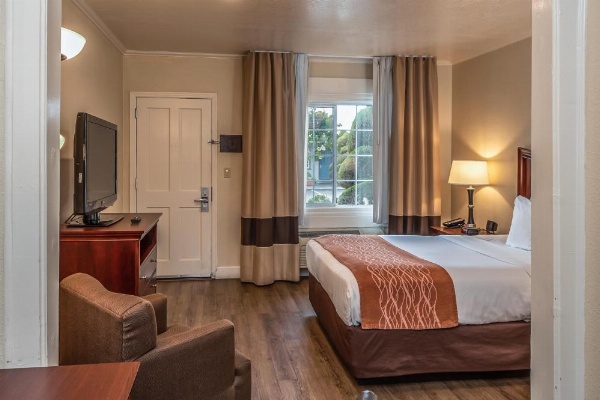 Blu Pacific Hotel image 8